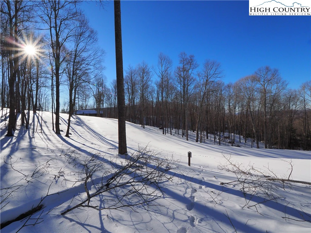 Image number 1 for the current listing