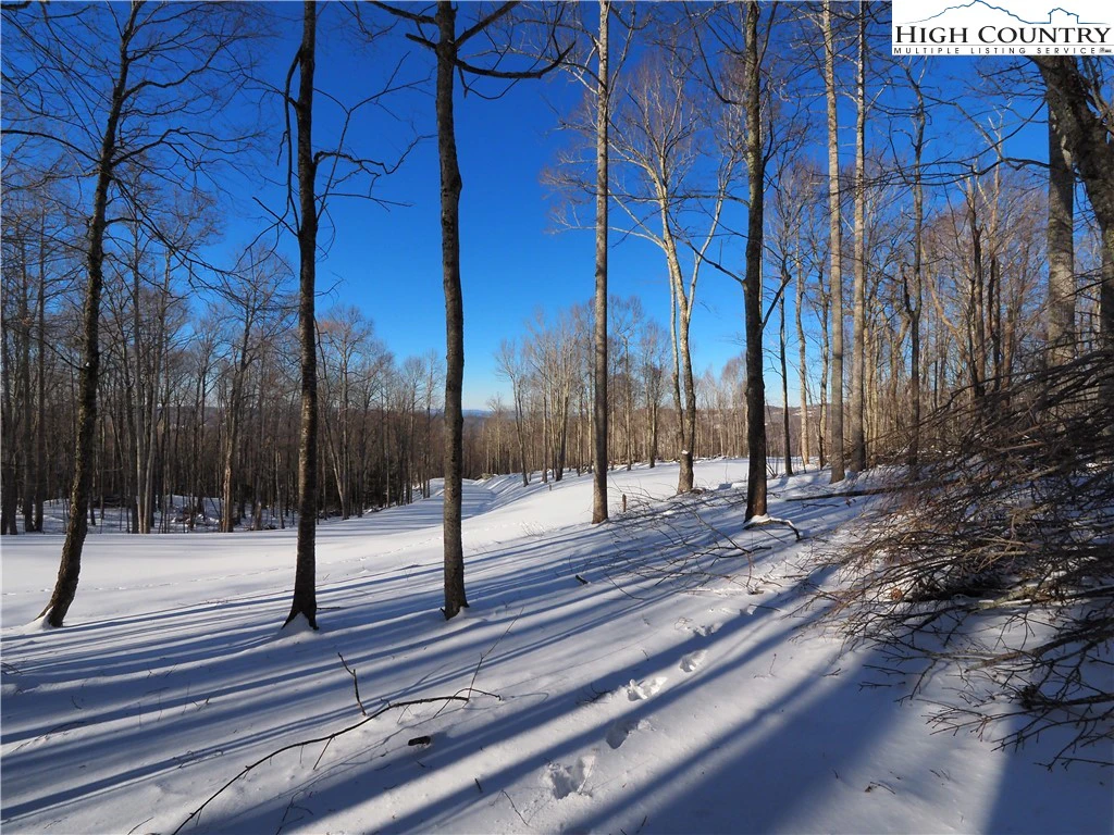 Image number 9 for the current listing