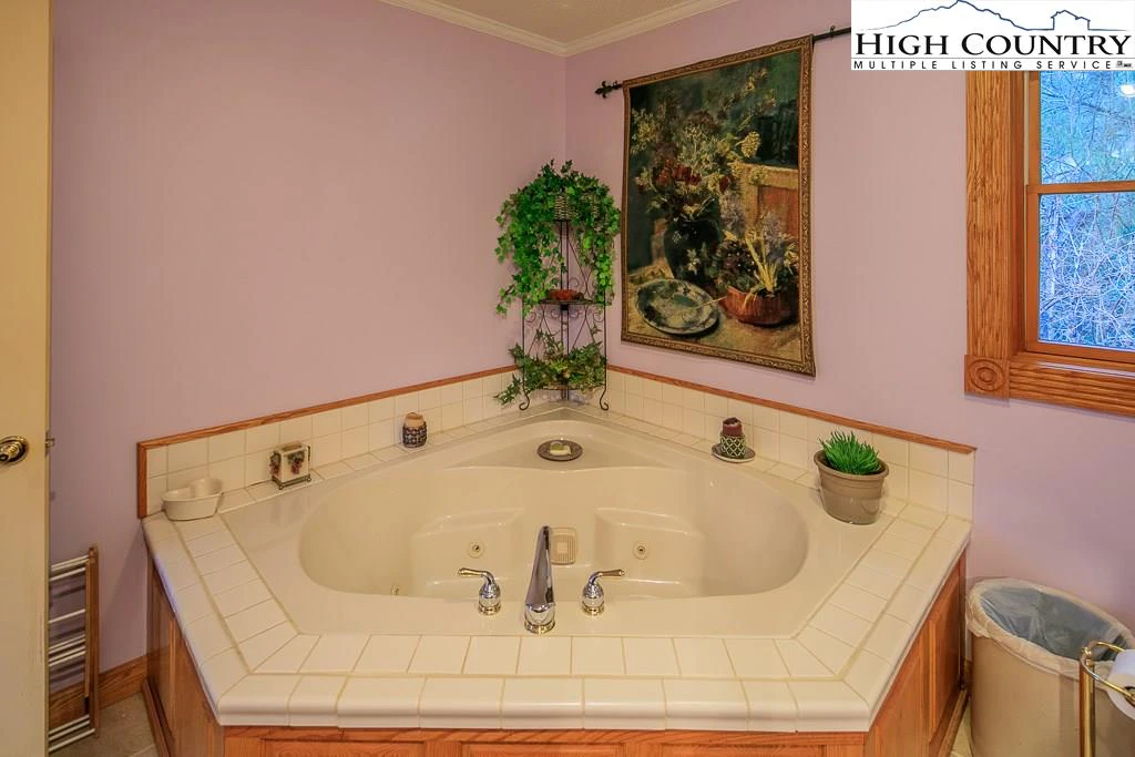 Image number 10 for the current listing