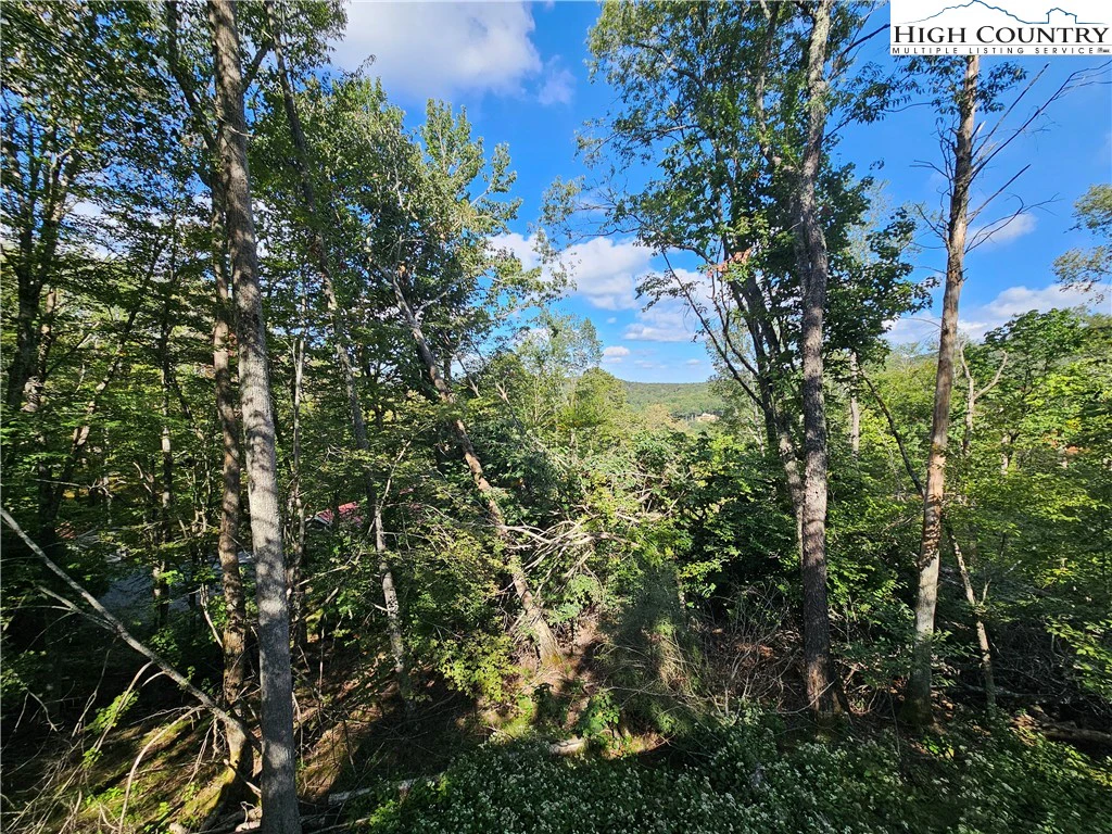 Image number 9 for the current listing