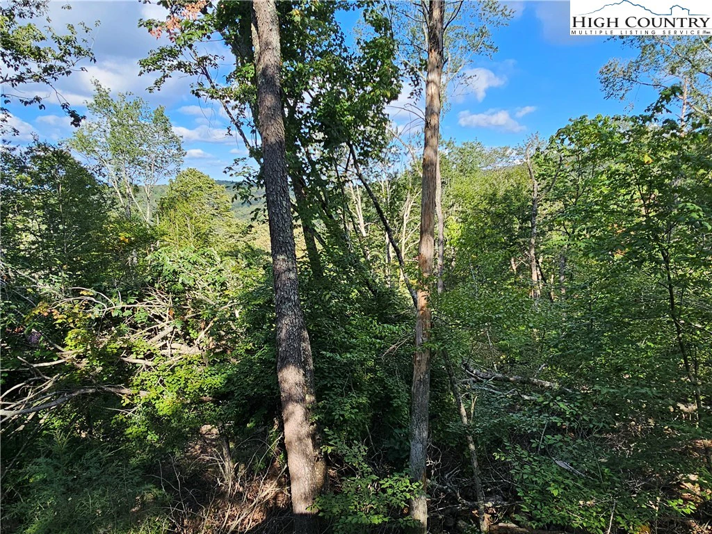 Image number 17 for the current listing