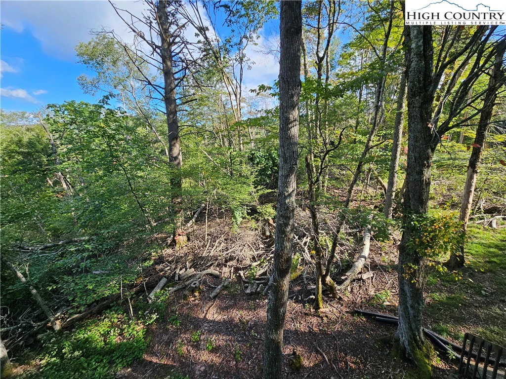 Image number 19 for the current listing