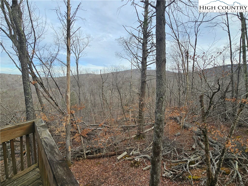 Image number 2 for the current listing