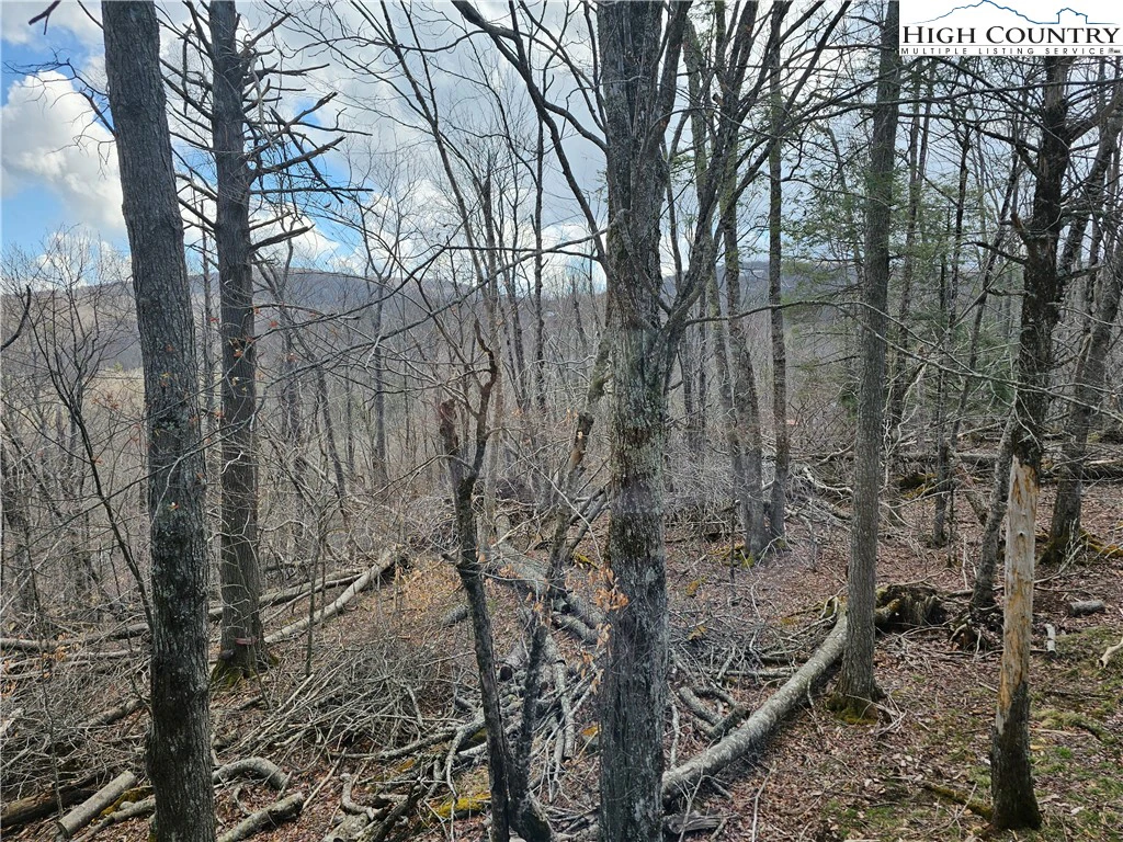 Image number 20 for the current listing