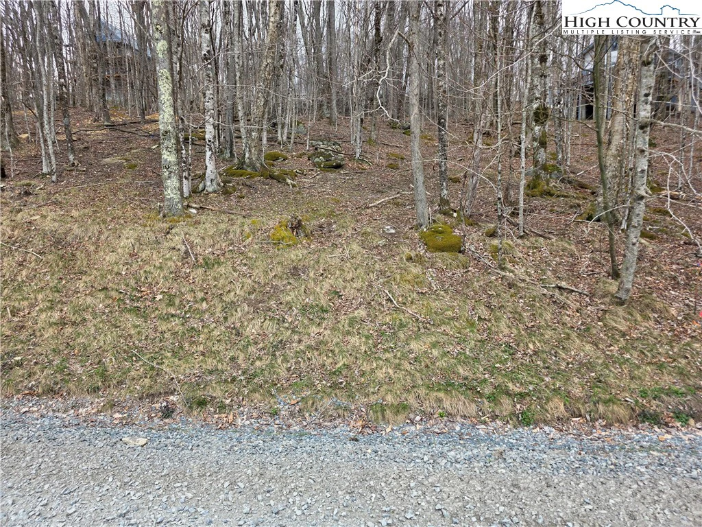 Image number 7 for the current listing