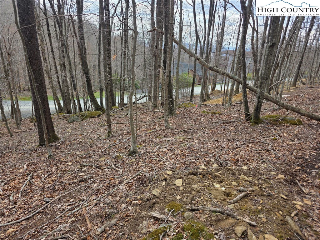 Image number 8 for the current listing