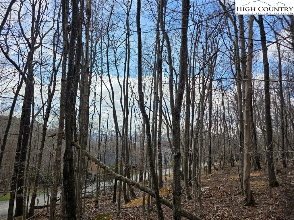 Image number 1 for the current listing