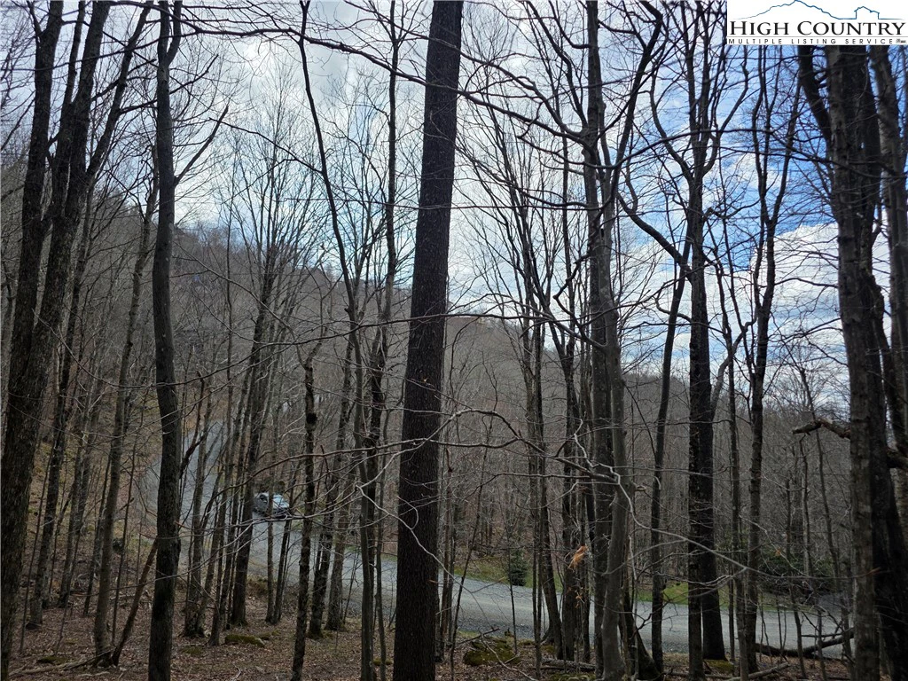 Image number 3 for the current listing