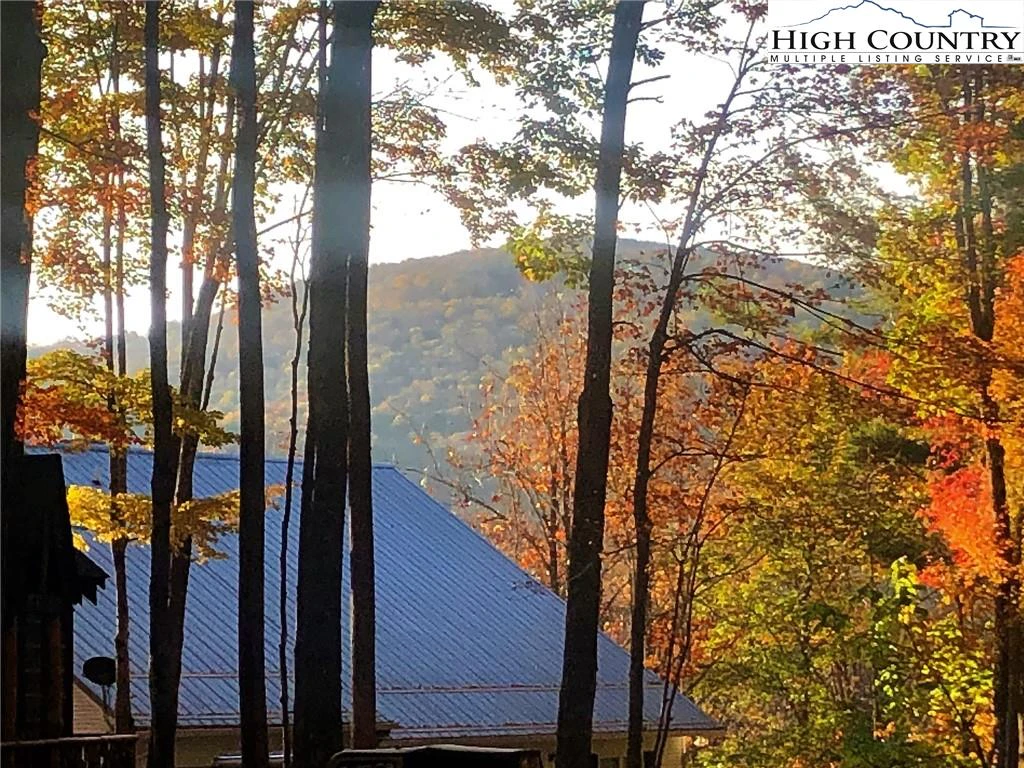 Image number 1 for the current listing