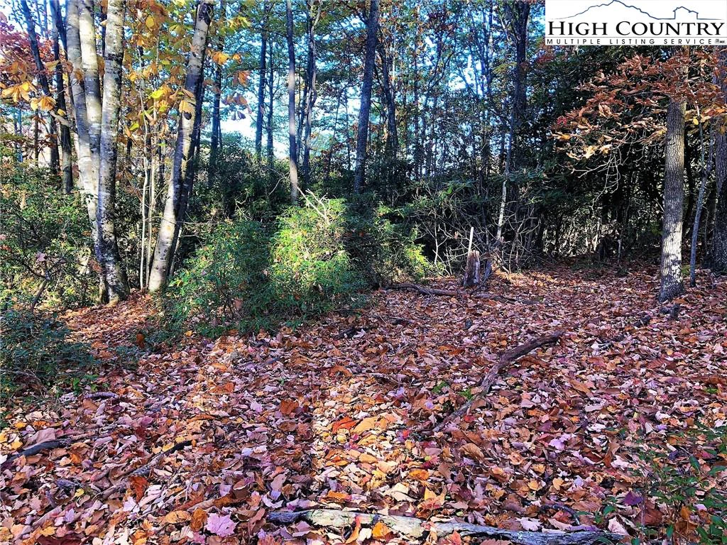 Image number 7 for the current listing