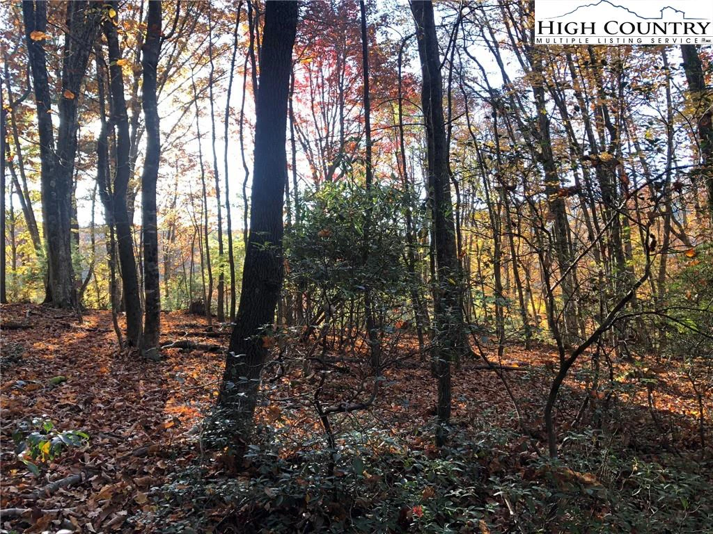 Image number 6 for the current listing