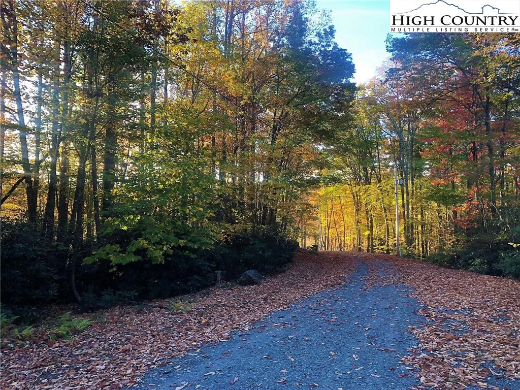 Image number 18 for the current listing