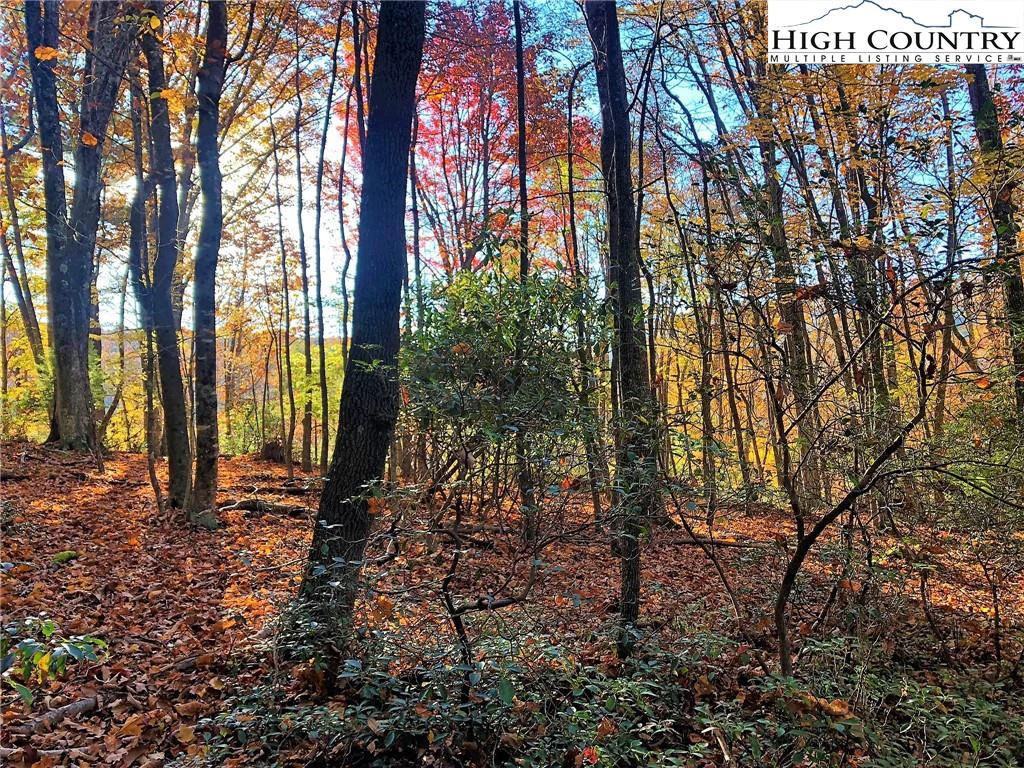 Image number 13 for the current listing
