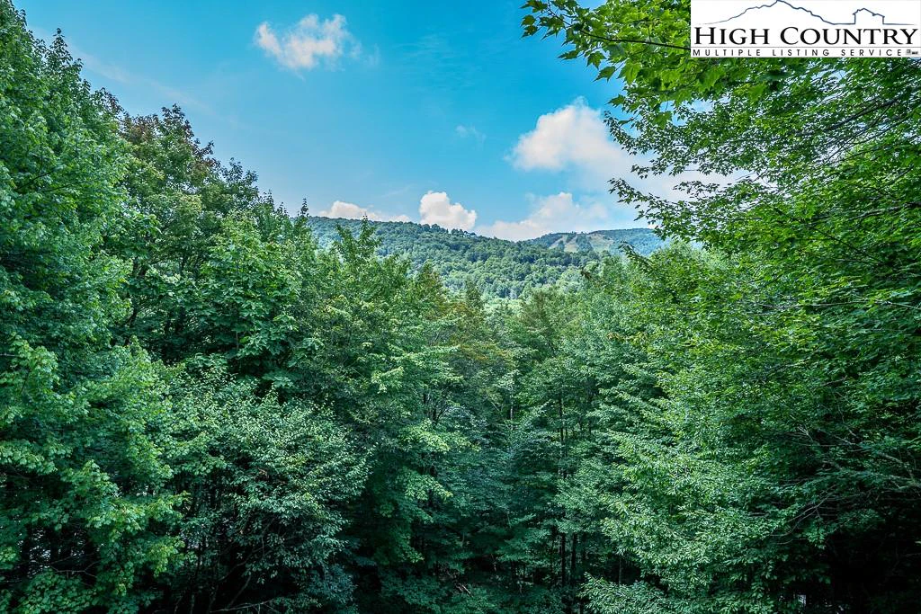 Image number 15 for the current listing