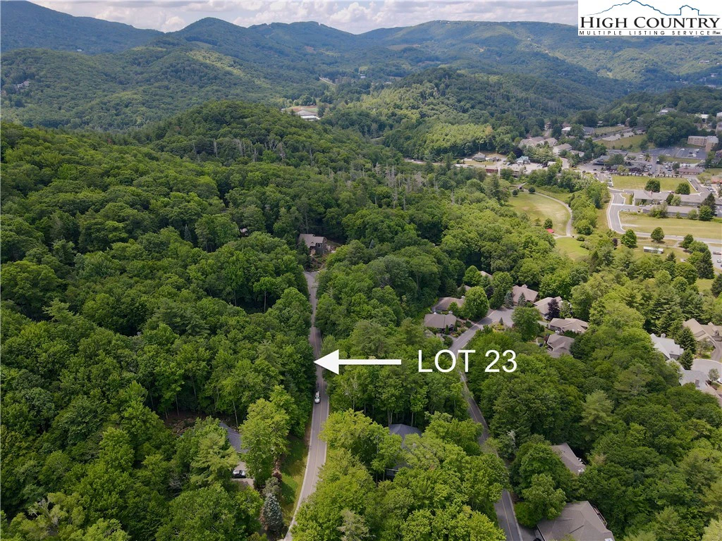 Image number 4 for the current listing