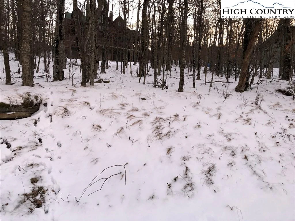 Image number 1 for the current listing