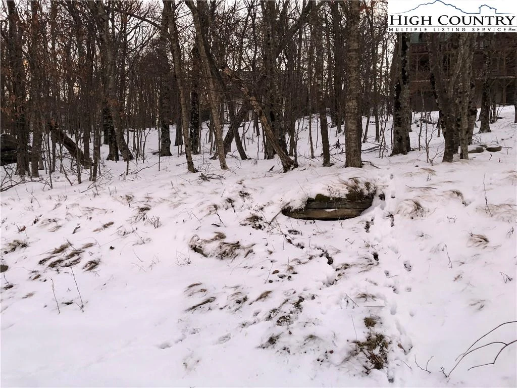 Image number 3 for the current listing