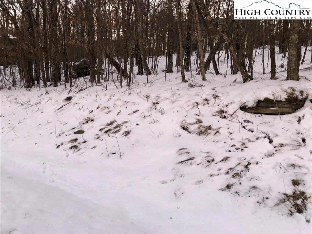 Image number 4 for the current listing