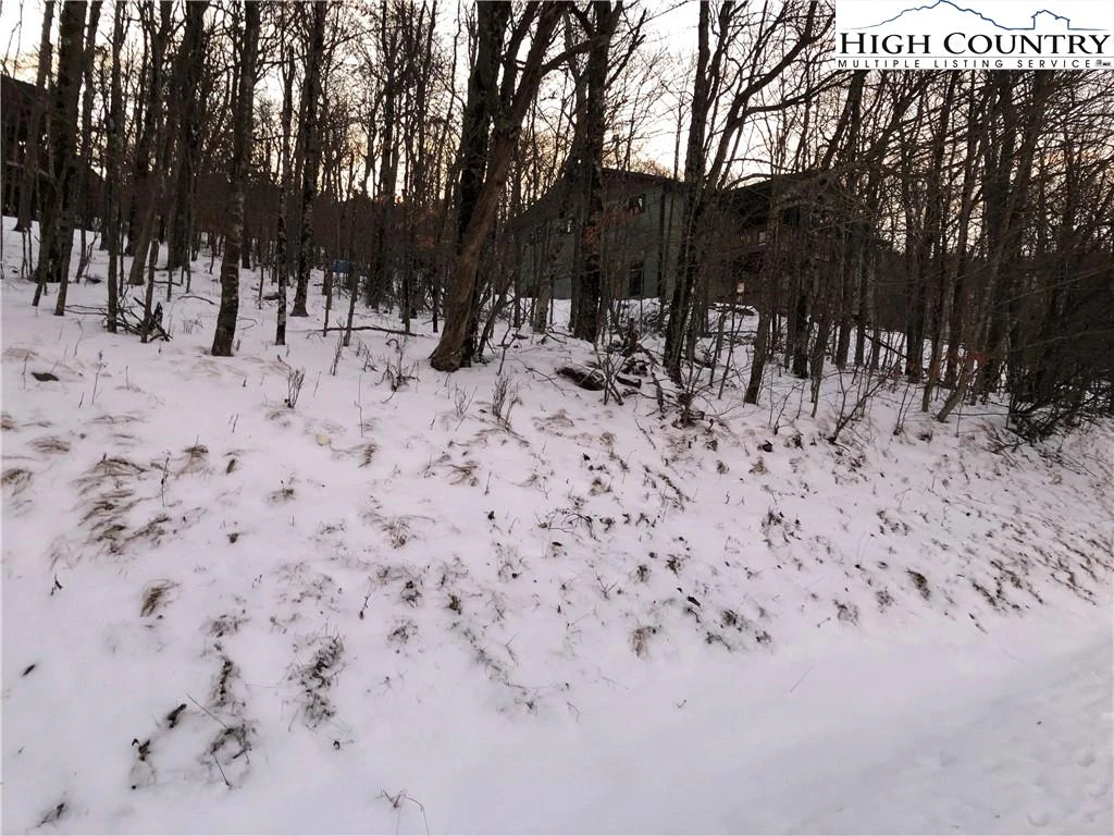 Image number 5 for the current listing