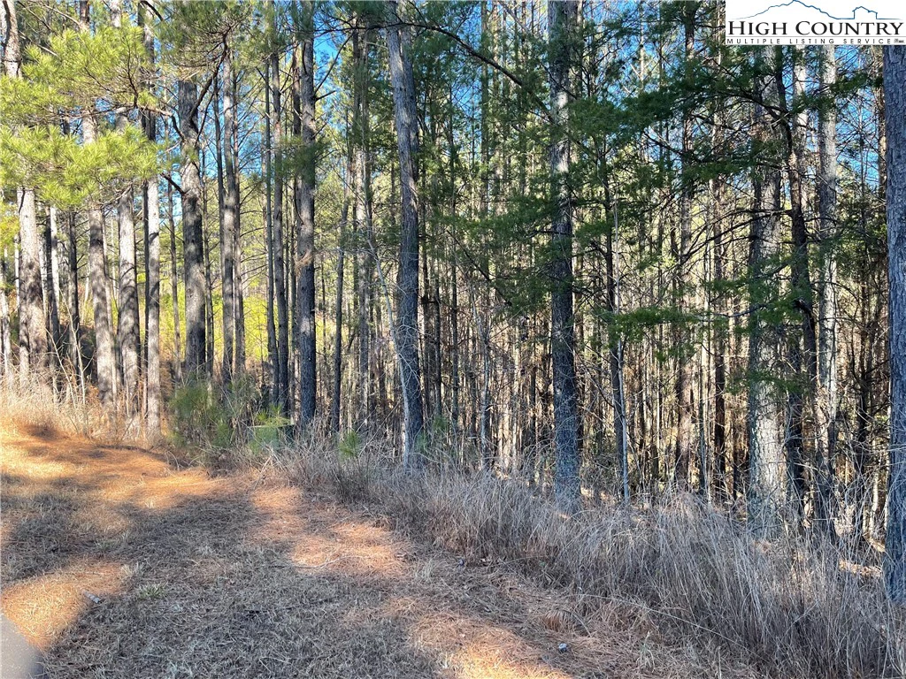 Image number 1 for the current listing