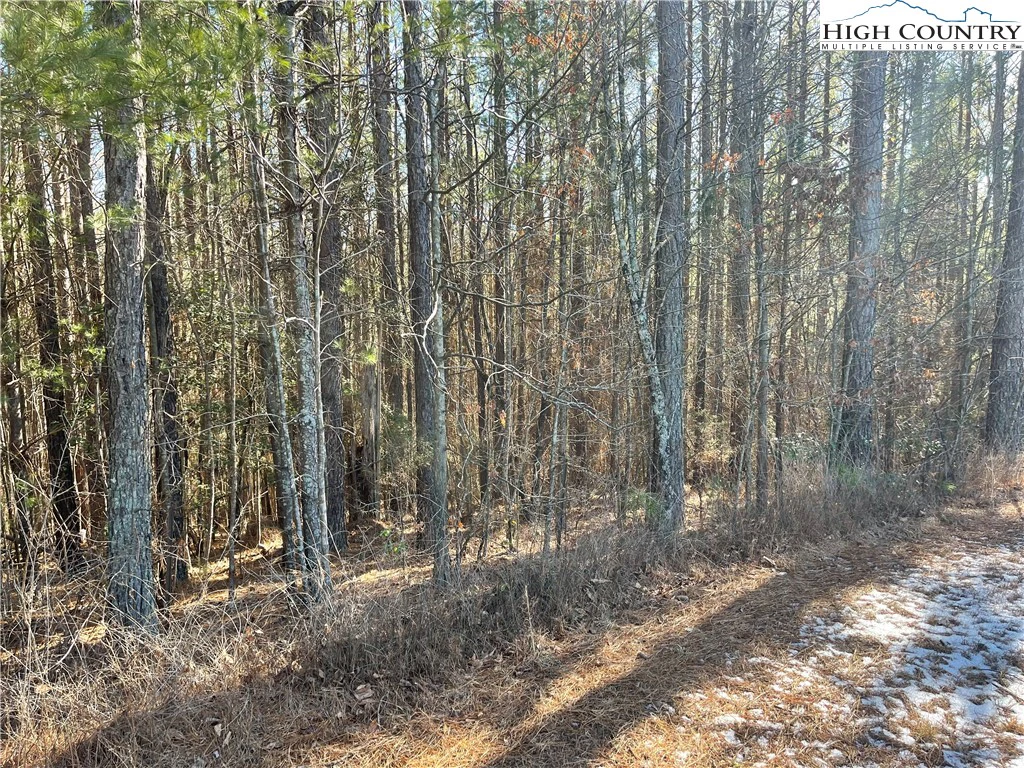 Image number 16 for the current listing
