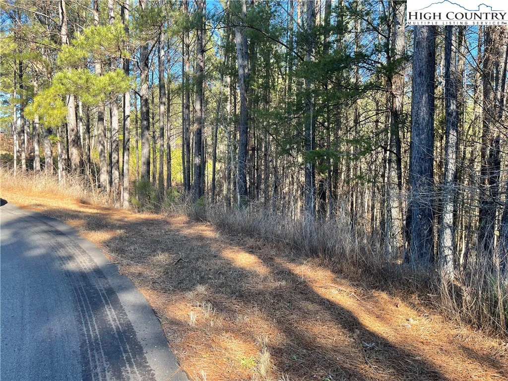 Image number 15 for the current listing