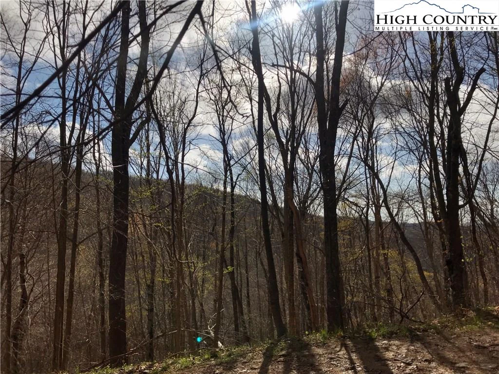 Image number 1 for the current listing