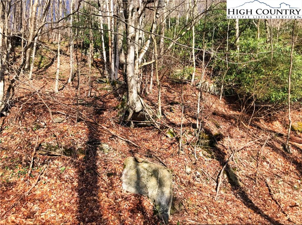 Image number 4 for the current listing