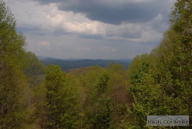 Image number 11 for the current listing
