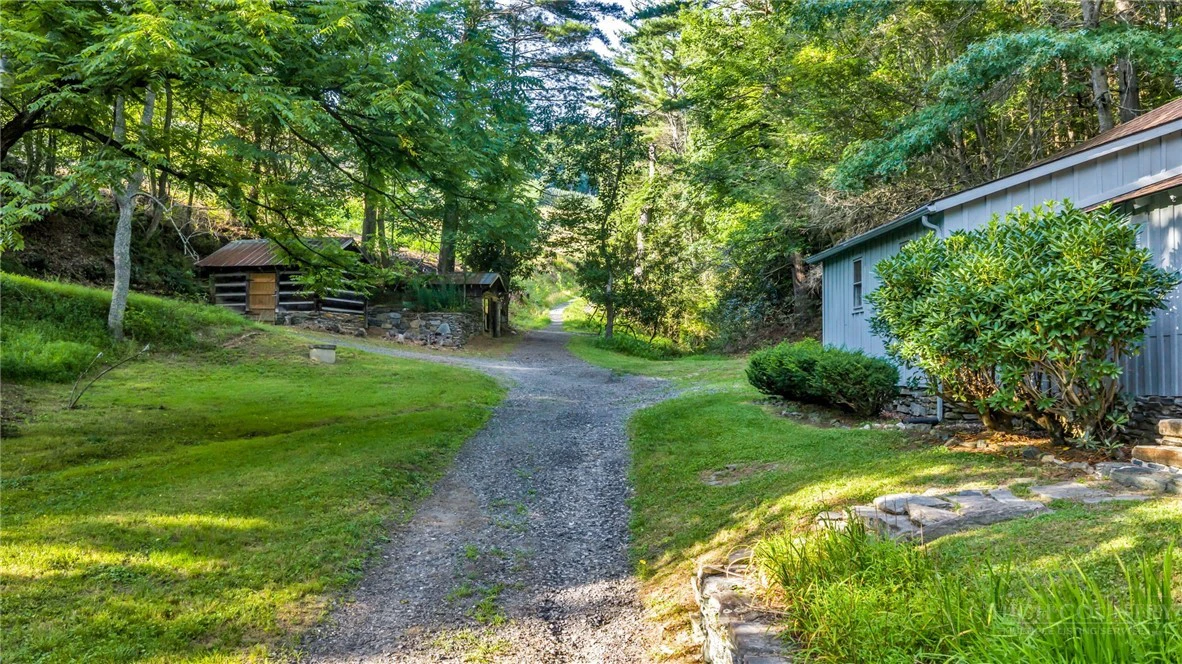 Image number 12 for the current listing