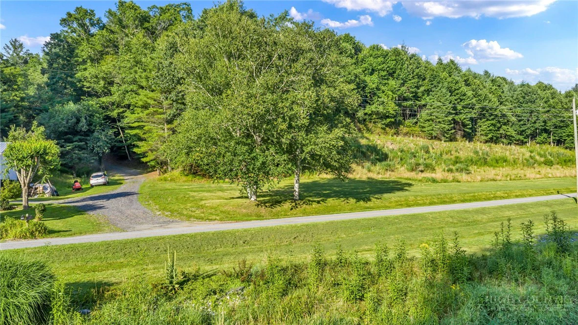 Image number 6 for the current listing