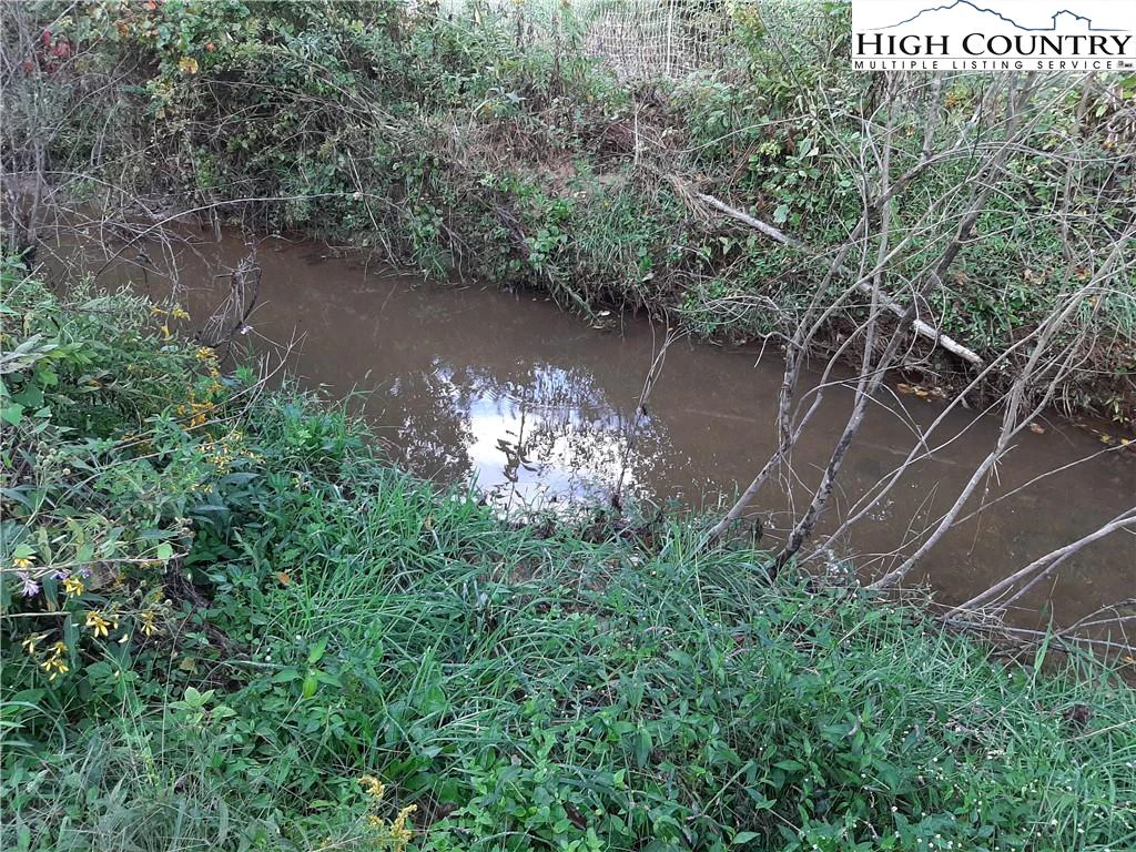 Image number 12 for the current listing