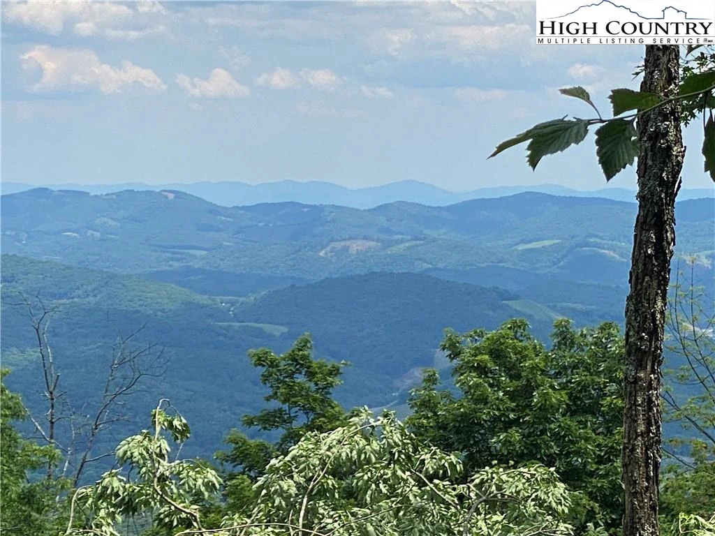 Image number 1 for the current listing