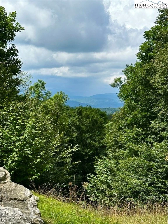 Image number 4 for the current listing