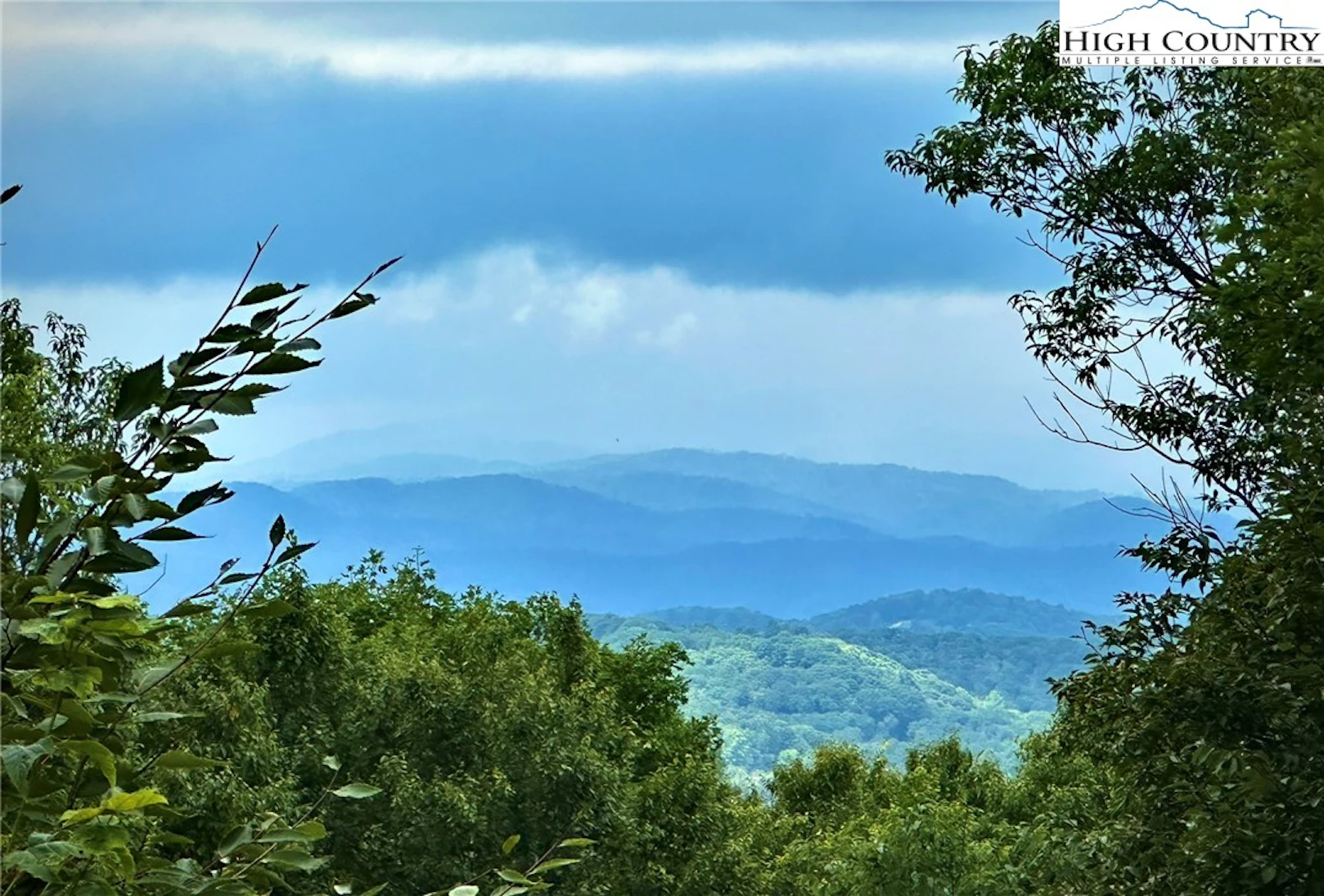 Image number 1 for the current listing