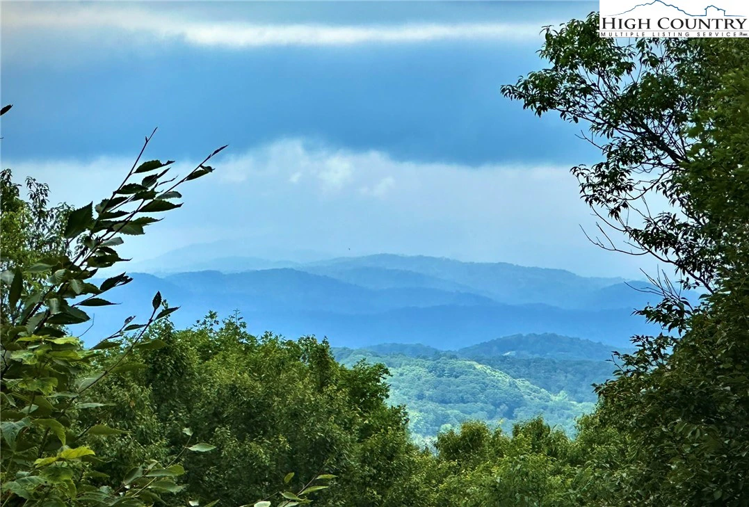 Image number 1 for the current listing