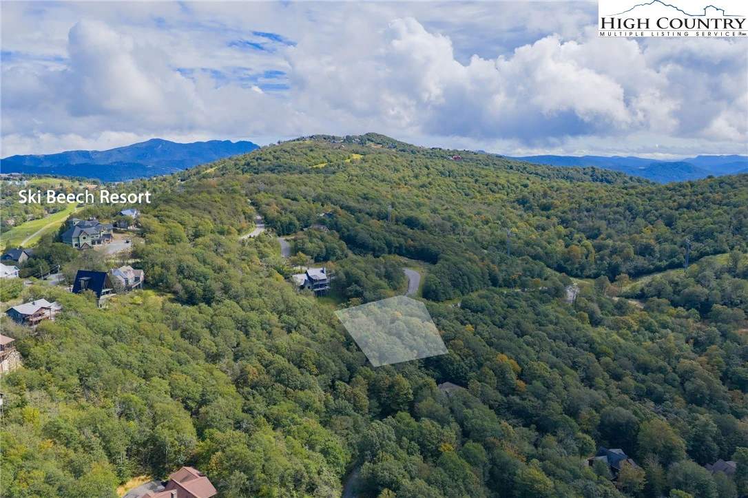 Image number 11 for the current listing