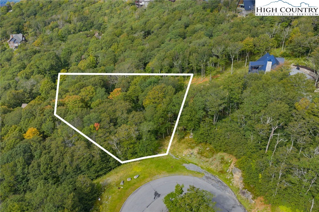 Image number 5 for the current listing