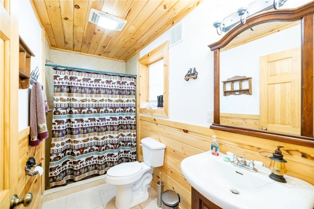 Image number 12 for the current listing
