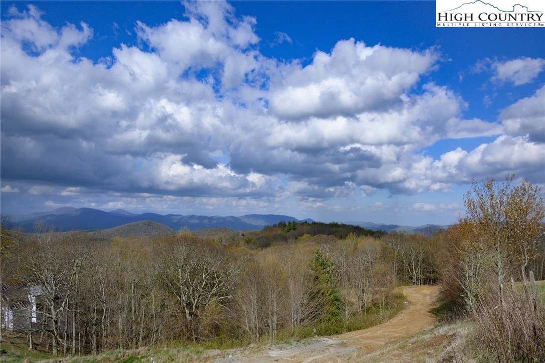 Image number 15 for the current listing