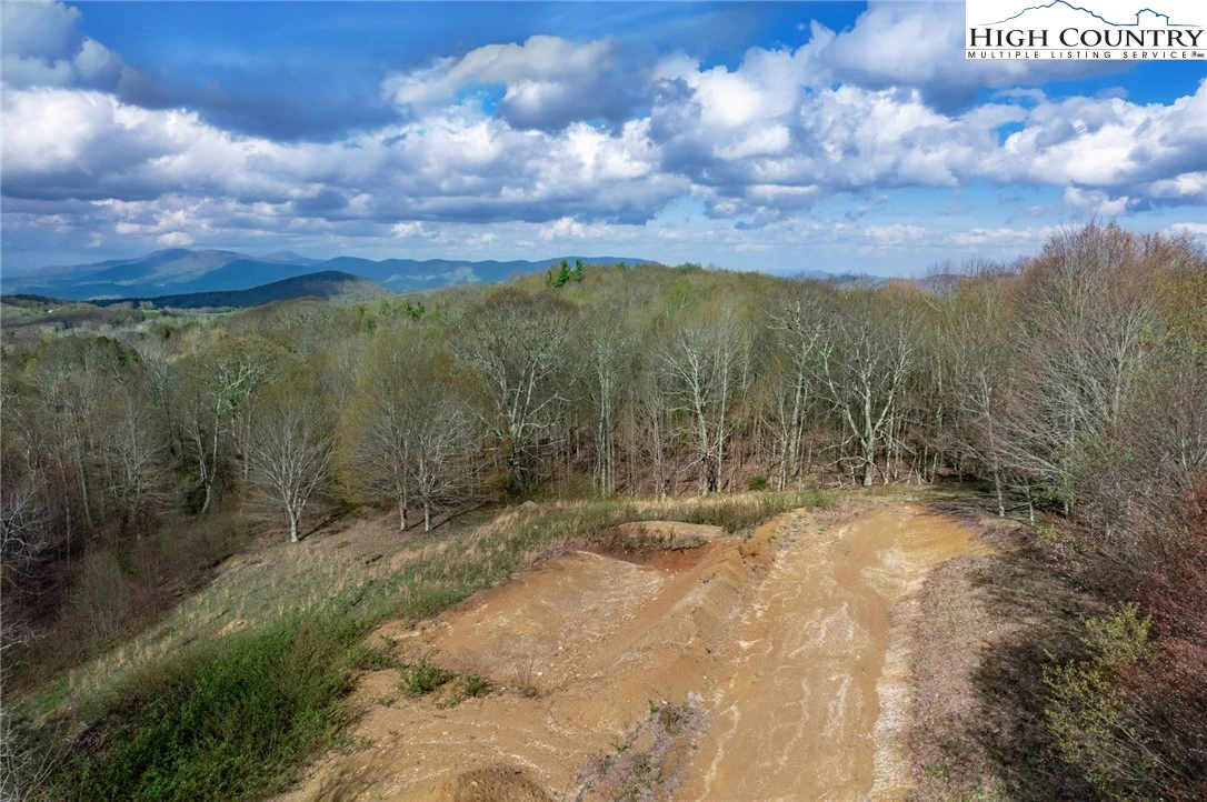 Image number 14 for the current listing