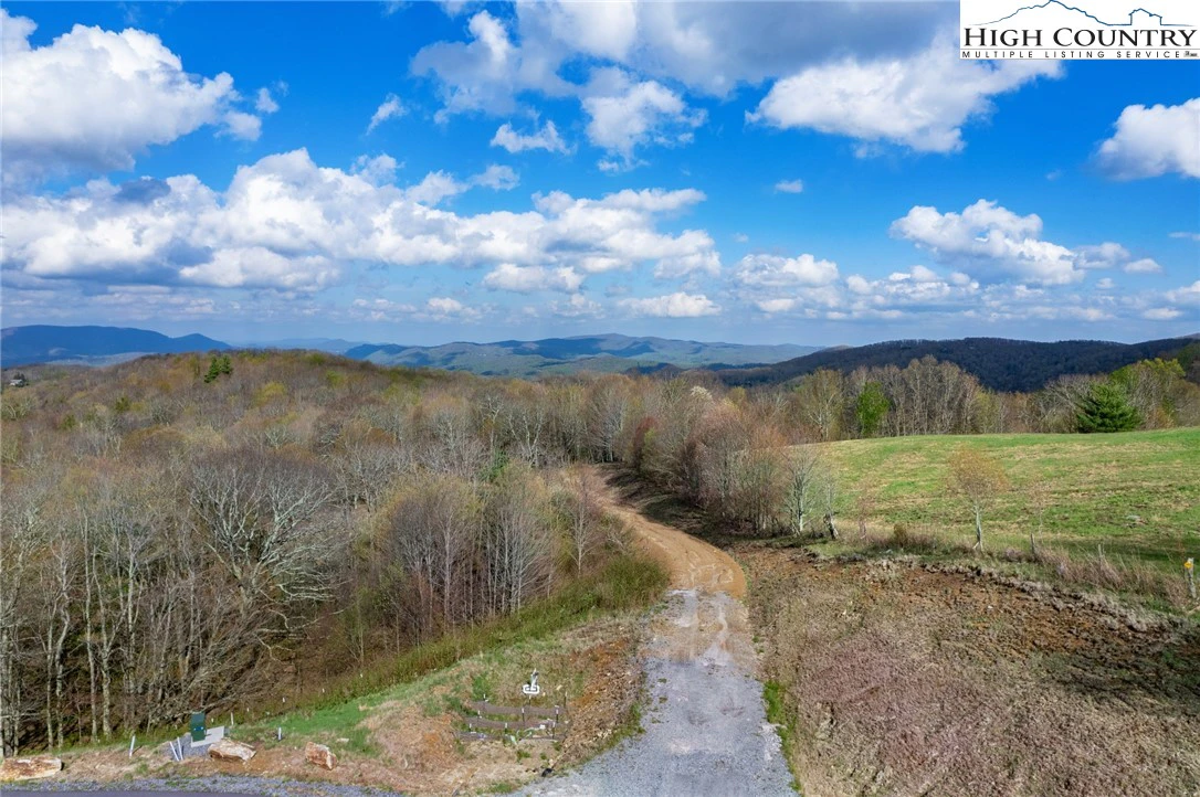 Image number 2 for the current listing