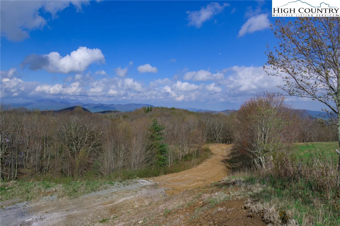 Image number 6 for the current listing