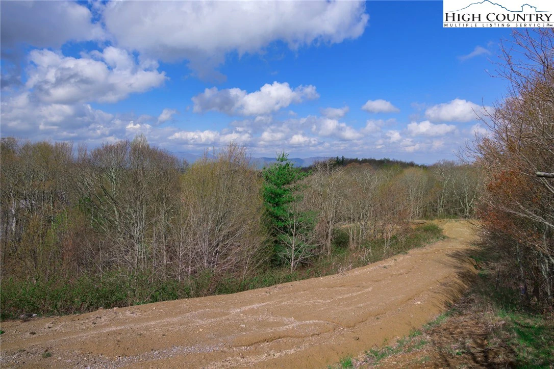 Image number 5 for the current listing