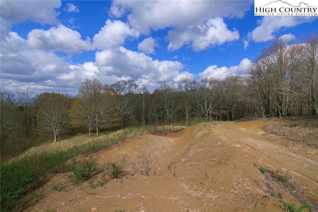 Image number 4 for the current listing