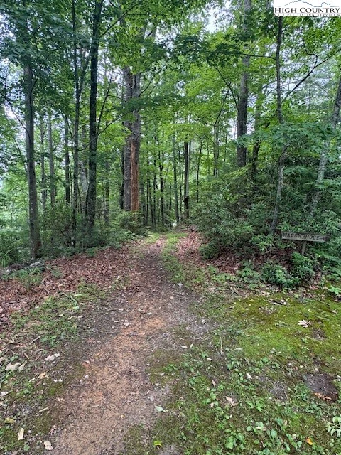 Image number 1 for the current listing