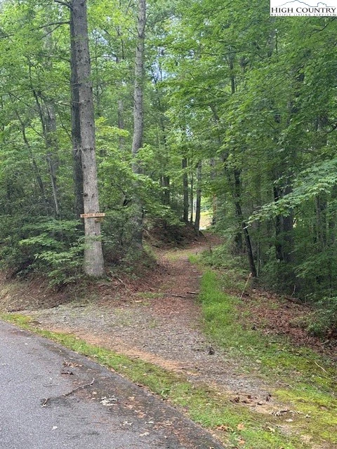 Image number 3 for the current listing