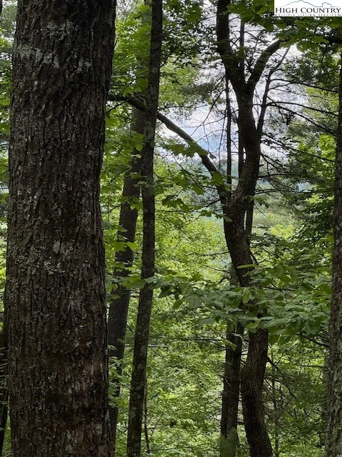 Image number 4 for the current listing