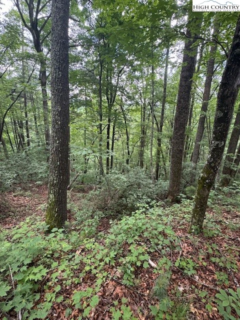 Image number 11 for the current listing