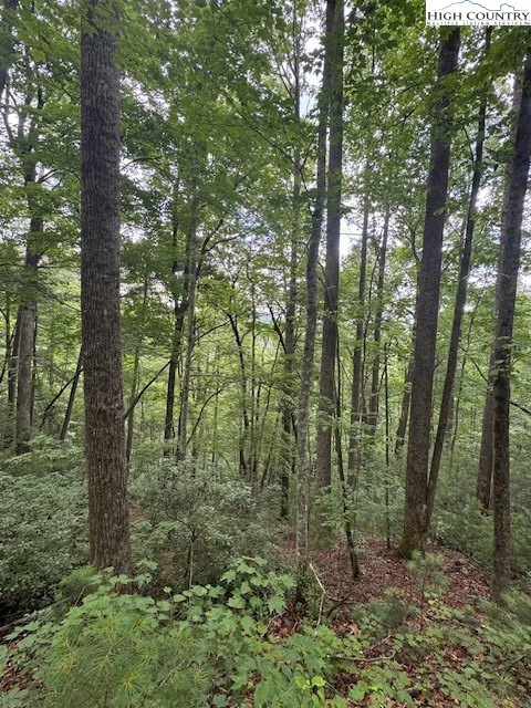 Image number 12 for the current listing